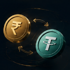 INR to USDT